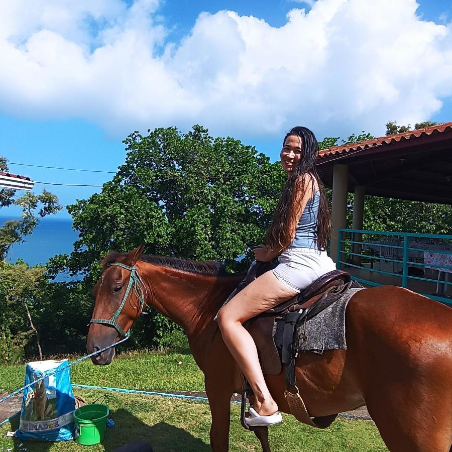 Rancho Juancho Hotel ปอร์โตเบโล ภายนอก รูปภาพ